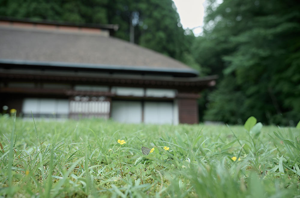 小さな国 Small Land Project 六月