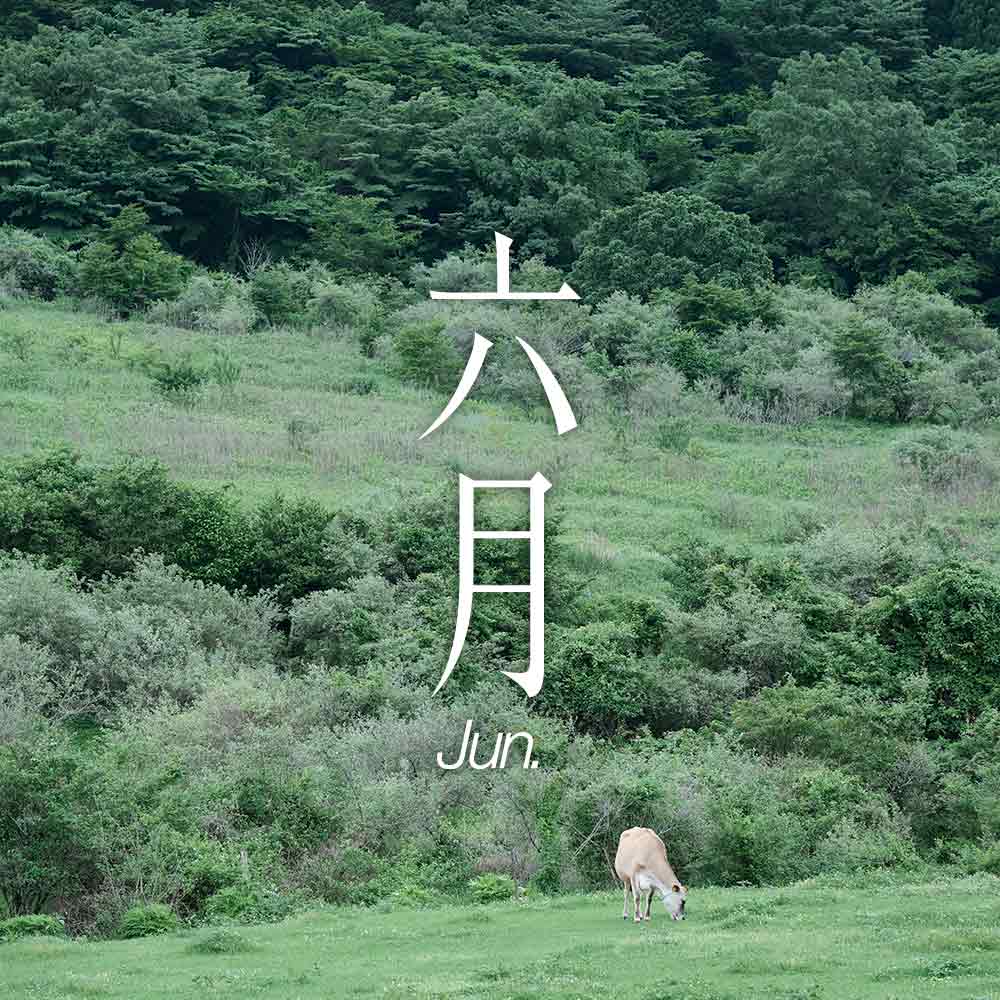 June−六月− 小さな国「六月」 Small Land Project
