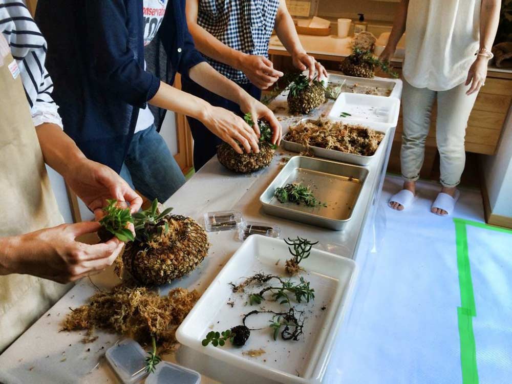 苔玉づくり